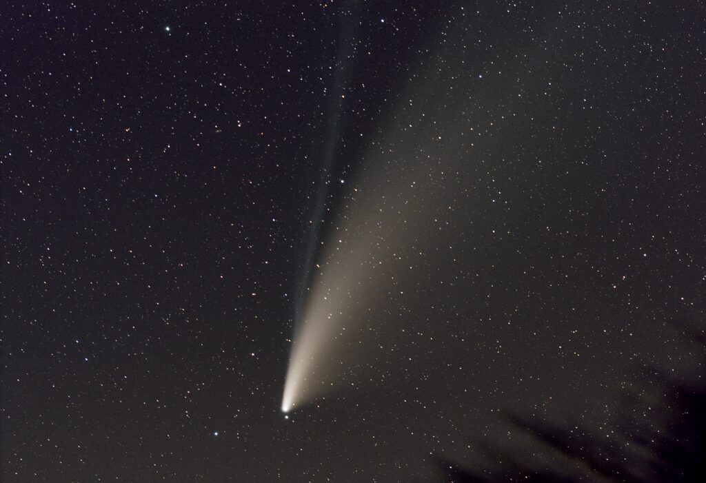 Comète Néowise (J.G.)